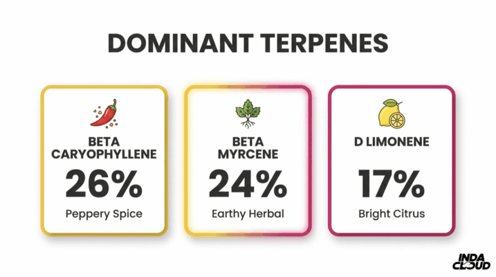 Alien Og Strain: Info, Effects, And Growing Tips 7 Alien Og Dominant Terpene Profile Showing Beta Caryophyllene 26 Percent, Beta Myrcene 24 Percent, And D Limonene 17 Percent