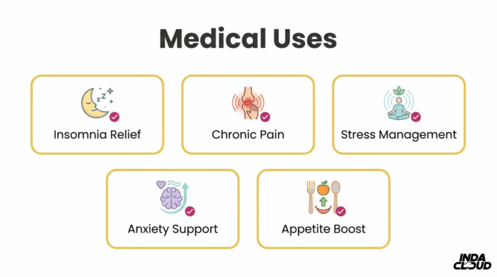 Aurora Indica Strain: Review, Effects &Amp; Origins 9 Aurora Indica Medical Uses Infographic Showing Insomnia Relief, Chronic Pain Support, Stress Management, Anxiety Support, And Appetite Boost