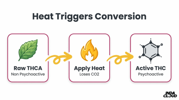 Thca To Thc Decarboxylation Process Showing Raw Thca, Heat Application, Co2 Loss, And Active Psychoactive Thc Conversion