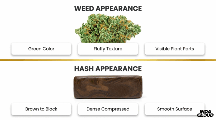 Weed And Hash Appearance Guide Comparing Green Fluffy Weed Buds With Dense Smooth Brown Hash Blocks