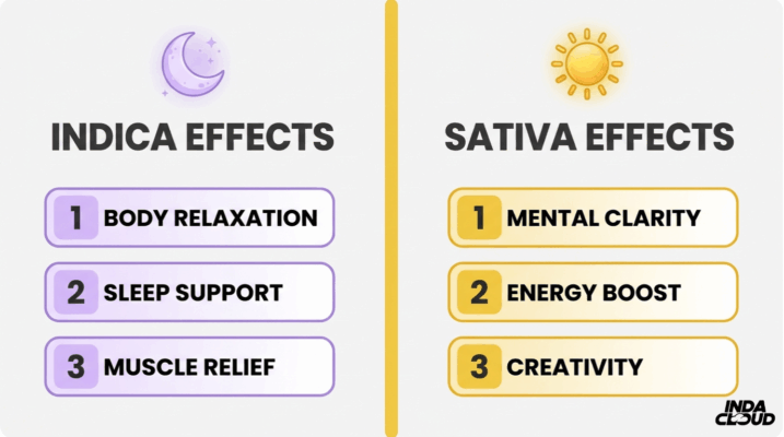 Indica Vs Sativa: The Key Differences Explained 6 Indica Effects Vs Sativa Effects Chart Showing Body Relaxation, Sleep Support, Muscle Relief For Indica And Mental Clarity, Energy Boost, Creativity For Sativa
