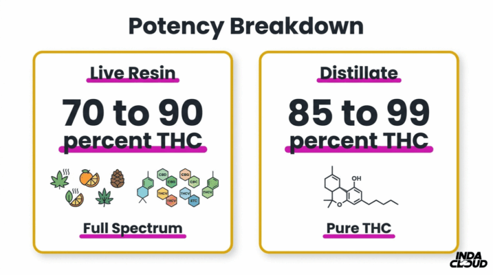 Thc Potency Comparison Chart Showing Live Resin At 70 To 90 Percent Thc With Full Spectrum Effects And Distillate At 85 To 99 Percent Thc With Pure Thc