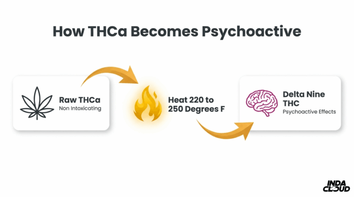 Thca Vs Thcb: Key Differences You Should Know 6 Thca Decarboxylation Process Infographic Showing Raw Thca Converting To Delta 9 Thc Through Heat Activation