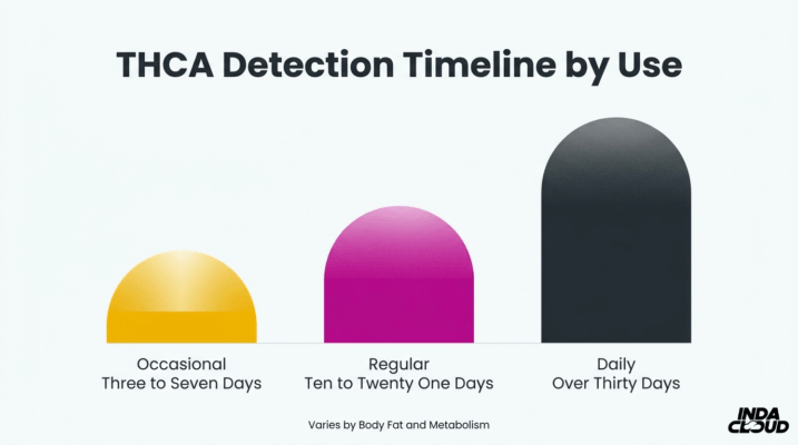 Does Thca Test Positive On Drug Tests? 7 Thca Detection Timeline By Usage Frequency Showing Occasional Use Three To Seven Days, Regular Use Ten To Twenty One Days, And Daily Use Over Thirty Days