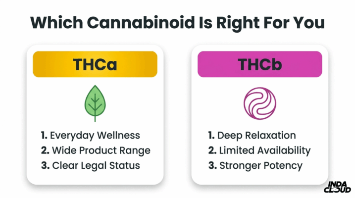 Thca Vs Thcb: Key Differences You Should Know 8 Cannabinoid Selection Guide Comparing Thca For Everyday Wellness And Thcb For Stronger Potency And Deep Relaxation