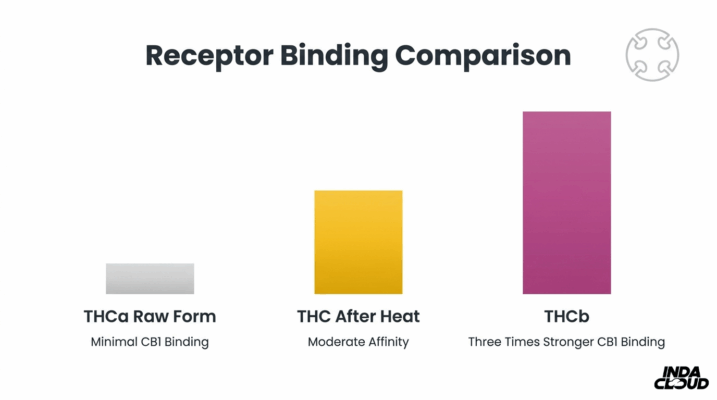 Thca Vs Thcb: Key Differences You Should Know 7 Receptor Binding Comparison Chart Showing Thca Raw Form, Thc After Heat, And Thcb With Stronger Cb1 Binding Affinity