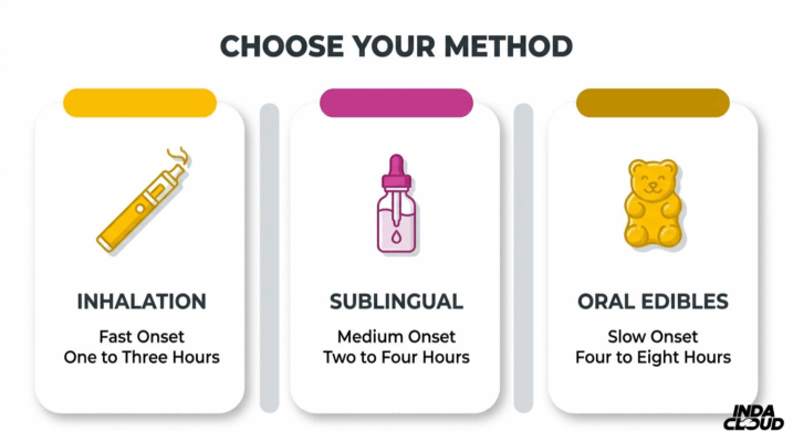 What Is Thc? Complete Guide To Types, Effects, Products, Potency, Safety, And Legality 7 Thc Consumption Methods Comparison Showing Inhalation, Sublingual Use, And Oral Edibles With Onset Times And Duration