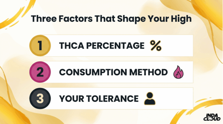 Three Factors That Shape Your Thca High Including Thca Percentage Consumption Method And Personal Tolerance Level